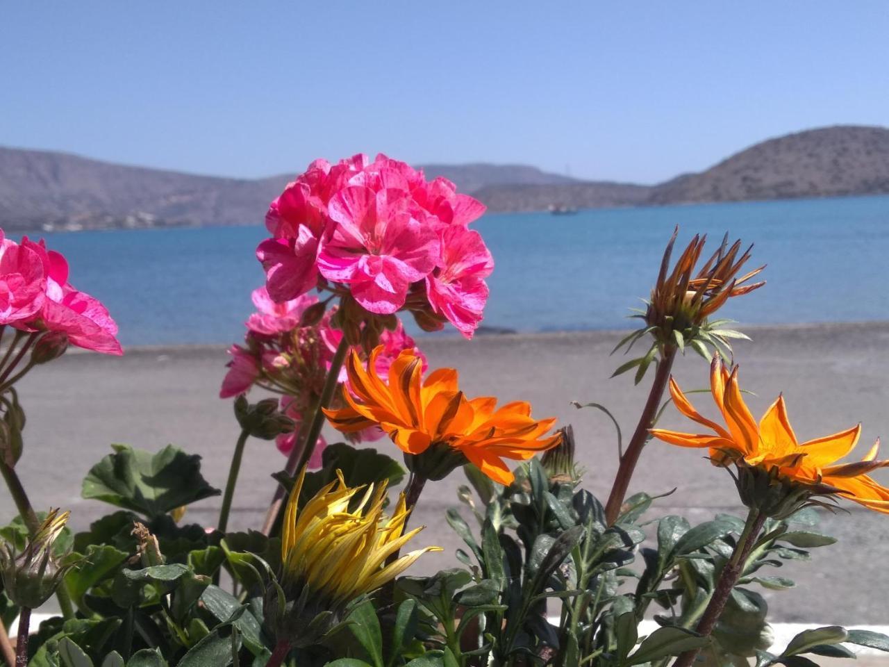 Hiona Seaside Leilighet Elounda Eksteriør bilde